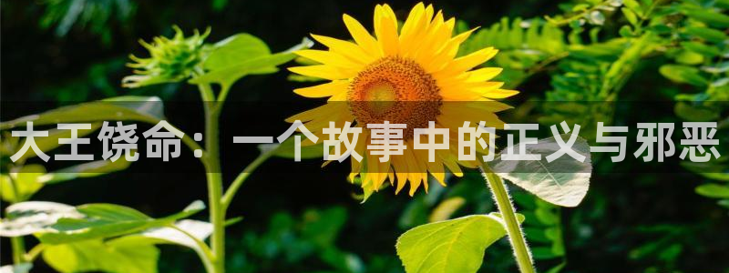 漫漫漫画官网漫画免费阅读