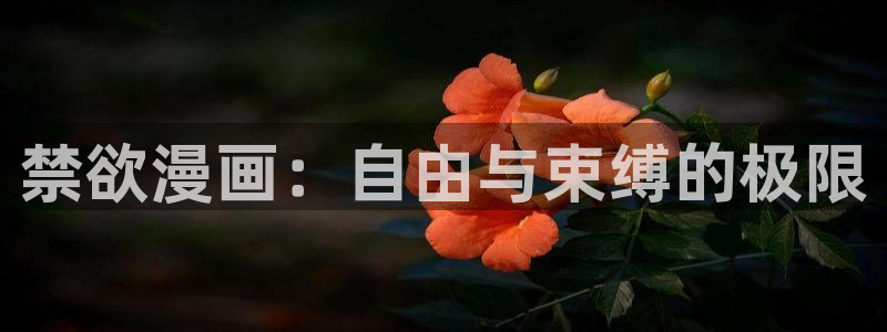 漫漫漫画免费版在线阅读下载