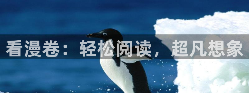 漫漫漫画网站