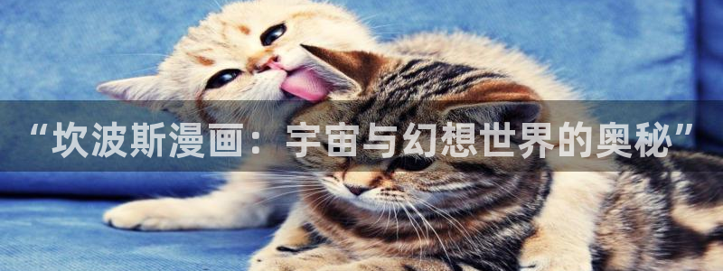 漫漫漫画正版下载