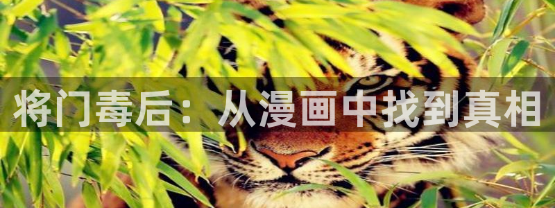 漫漫漫画大全