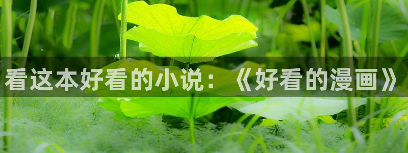 韩漫漫漫画免费看网址